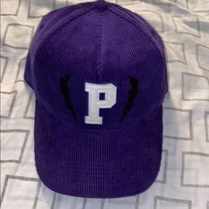 Pink dolphin SnapBack Hat